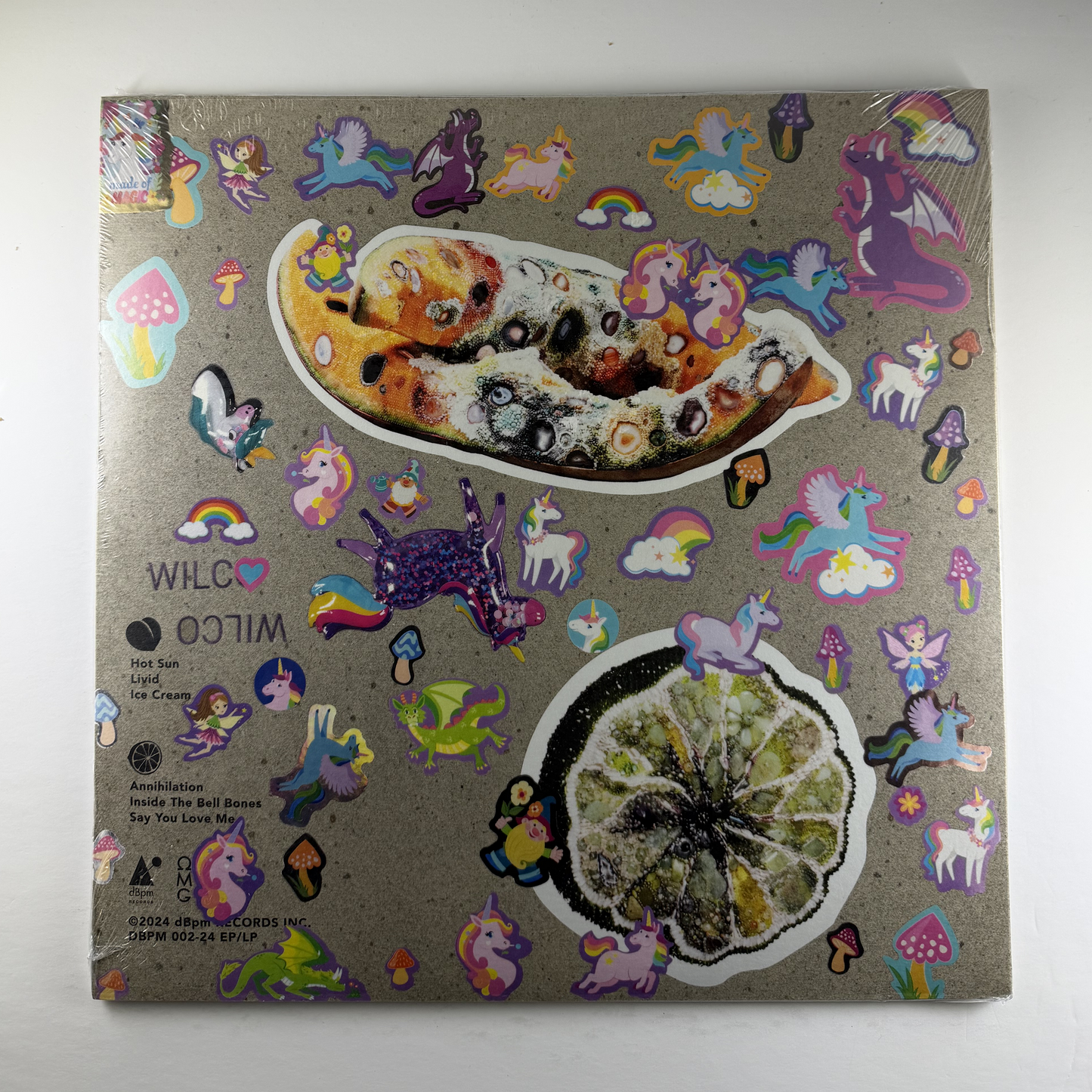 Wilco "Hot Sun Cool Shroud" LP