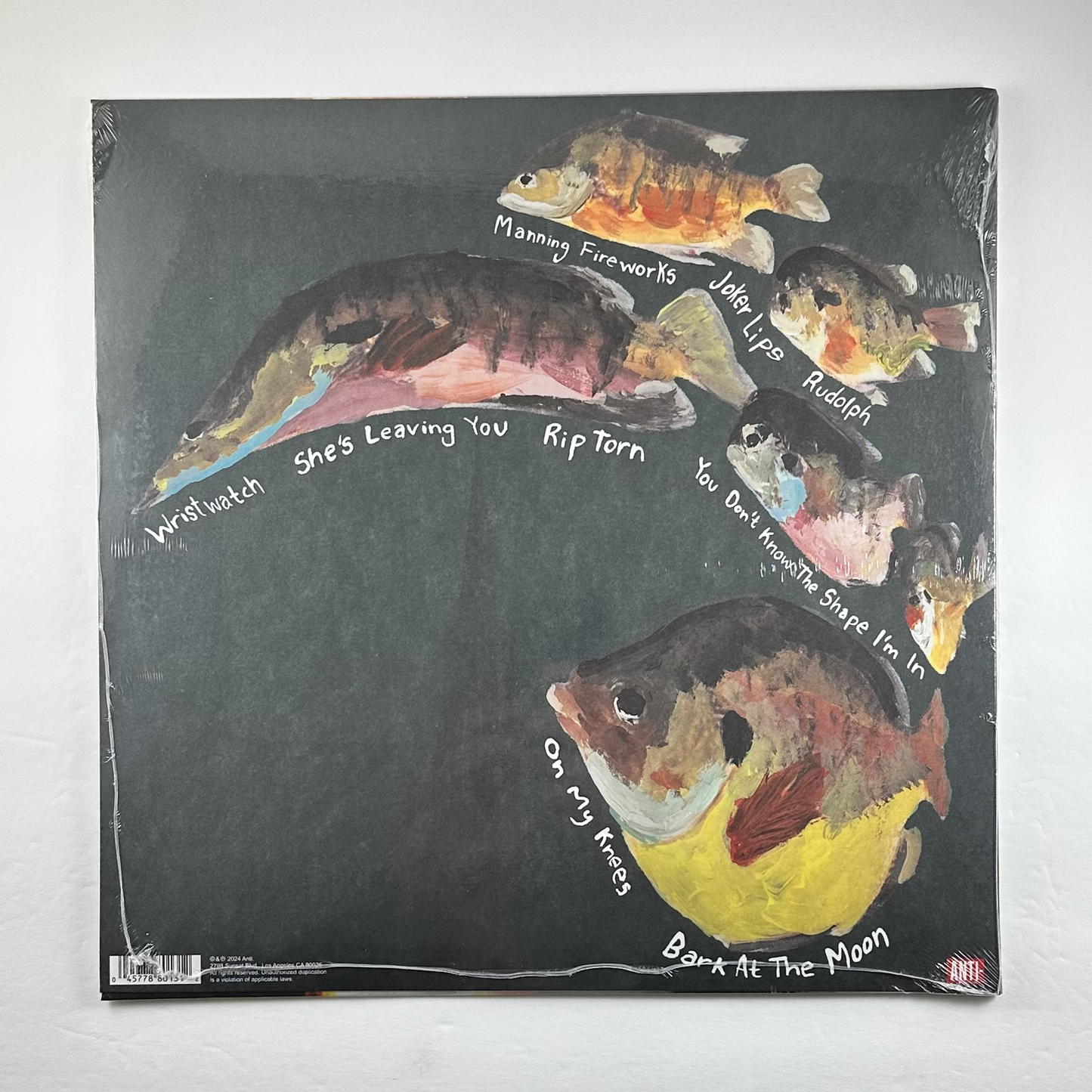 MJ Lenderman "Manning Fireworks" LP