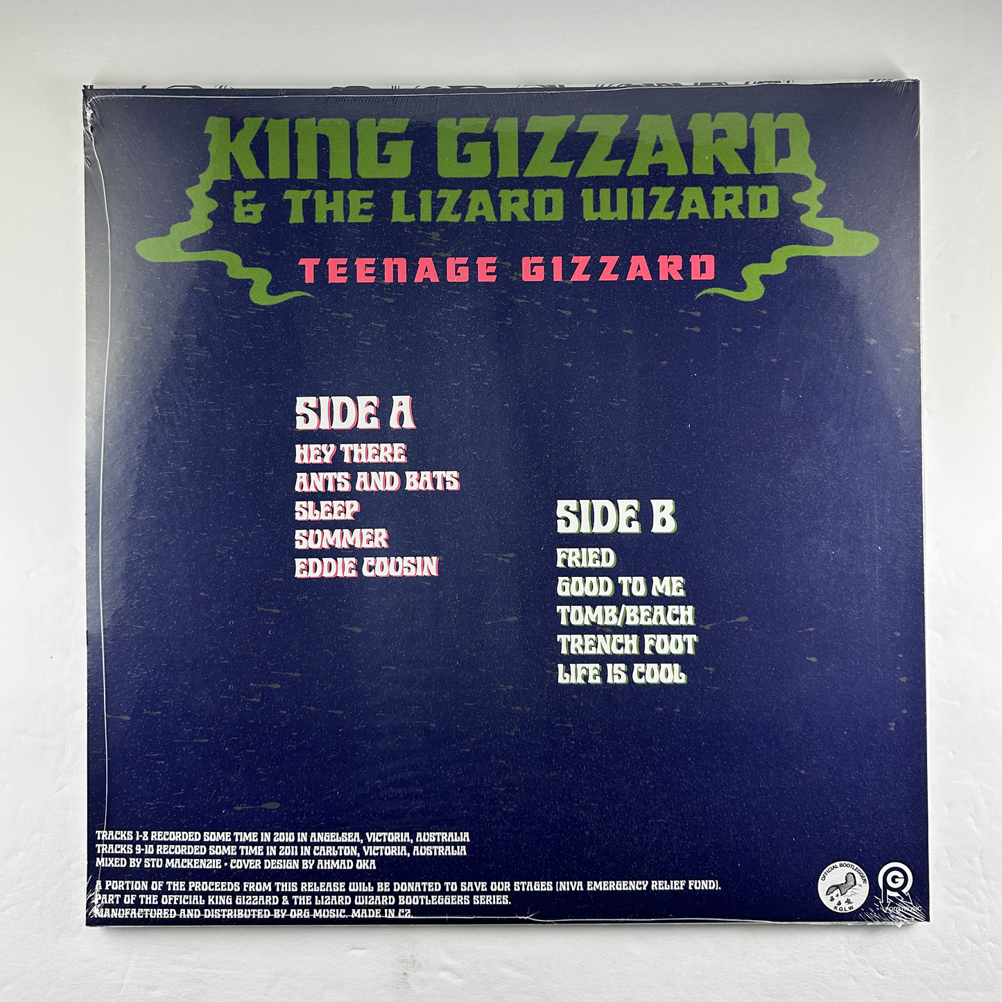 King Gizzard and the Lizard Wizard "Teenage Gizzard" LP