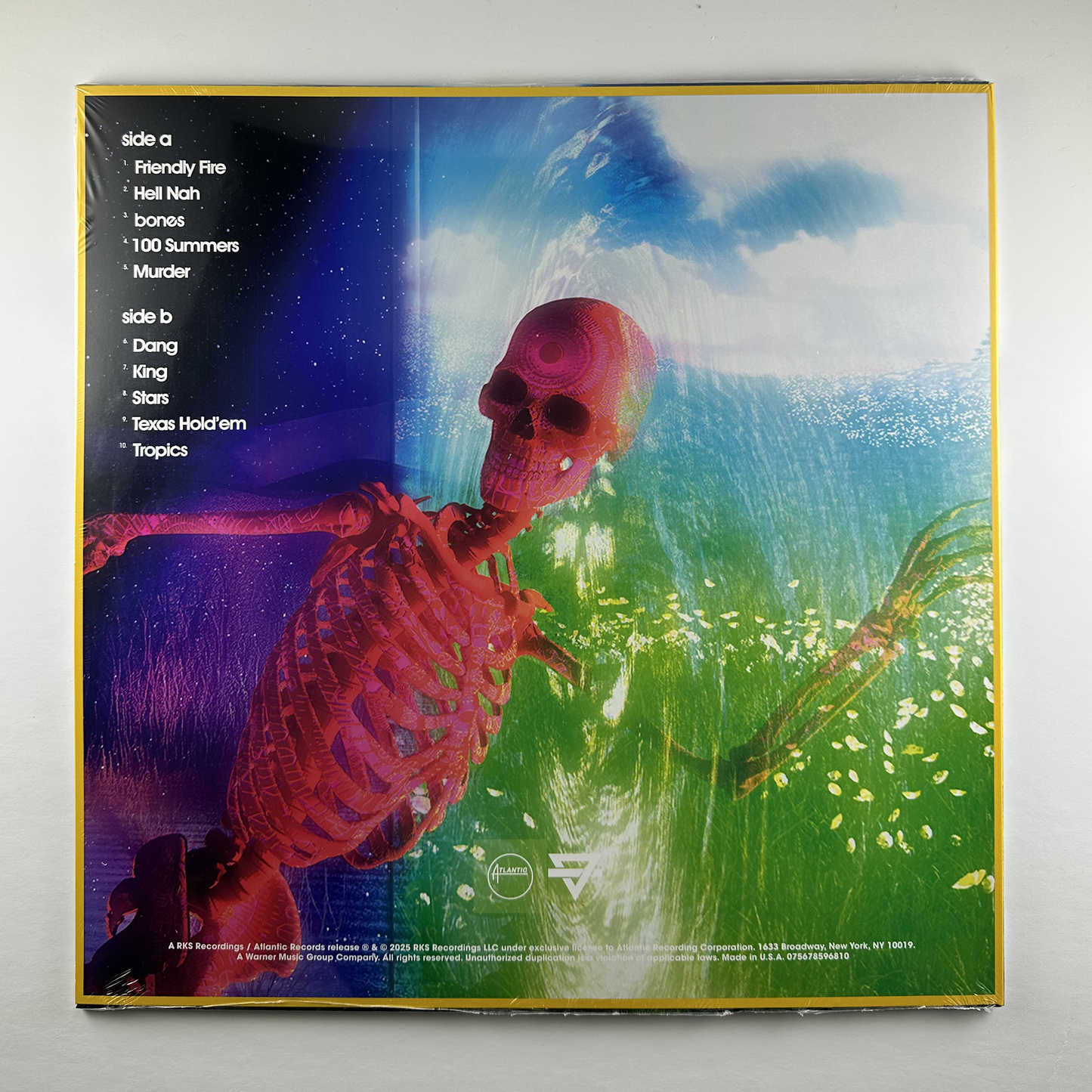 Rainbow Kitten Surprise "Bones" [Indie Exclusive] LP