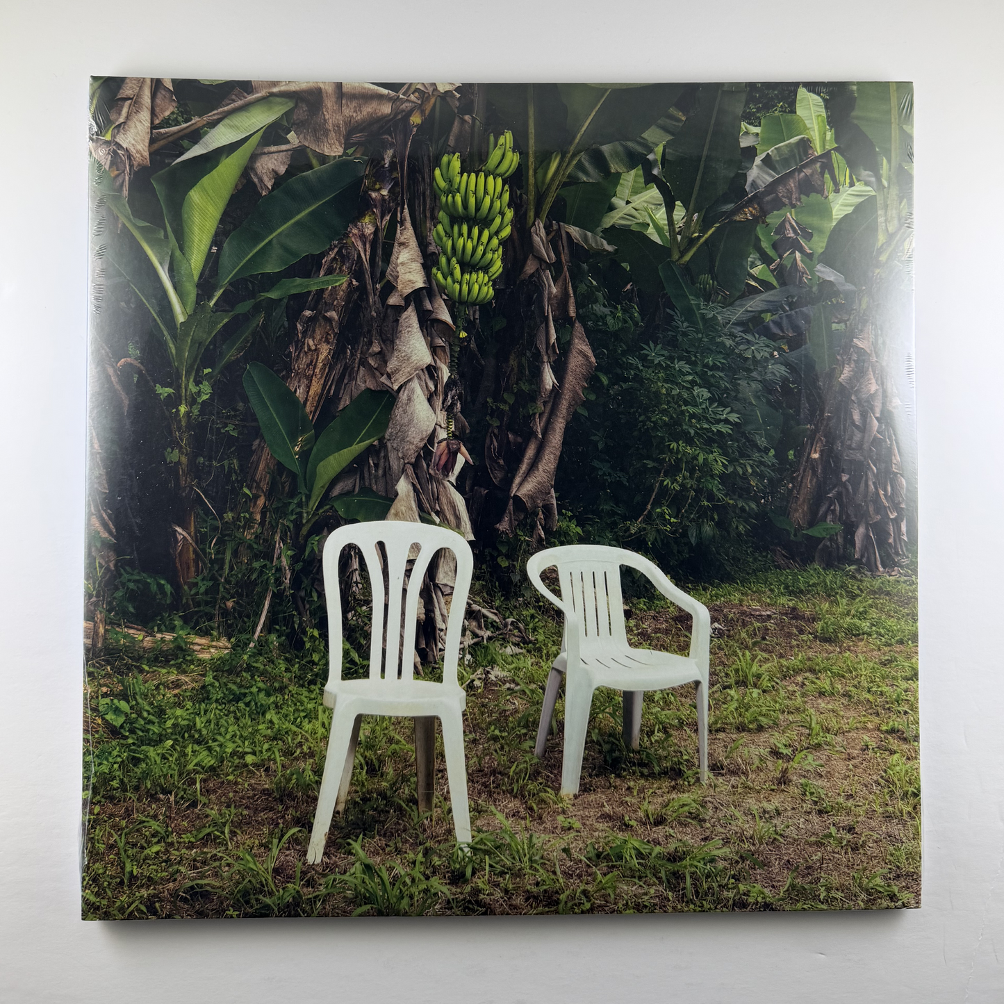 Bad Bunny "DEBÍ TIRAR MÁS FOTOS" 2xLP