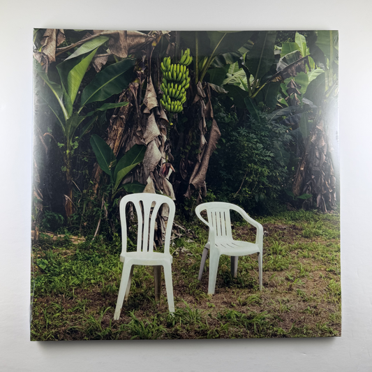 Bad Bunny "DEBÍ TIRAR MÁS FOTOS" 2xLP