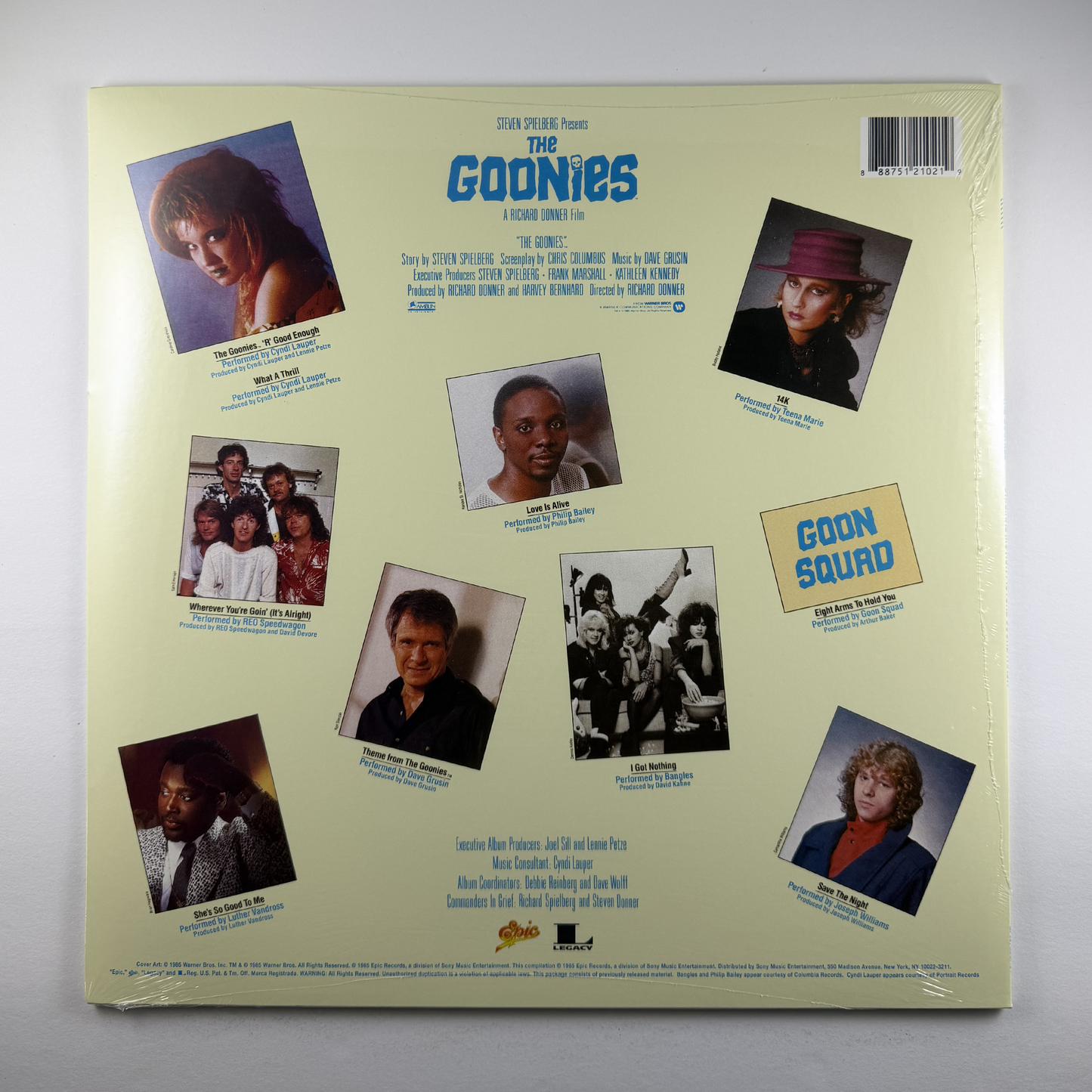 Various "The Goonies (Original Motion Picture Soundtrack)" LP