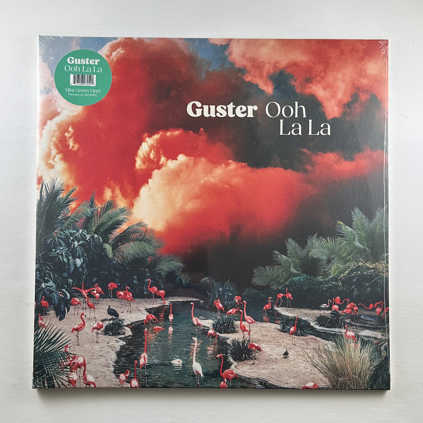 Guster "Ooh La La" LP