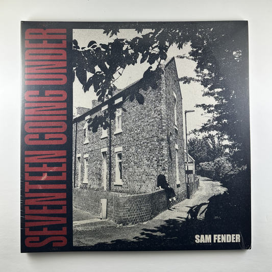 Sam Fender "Seventeen Going Under" LP