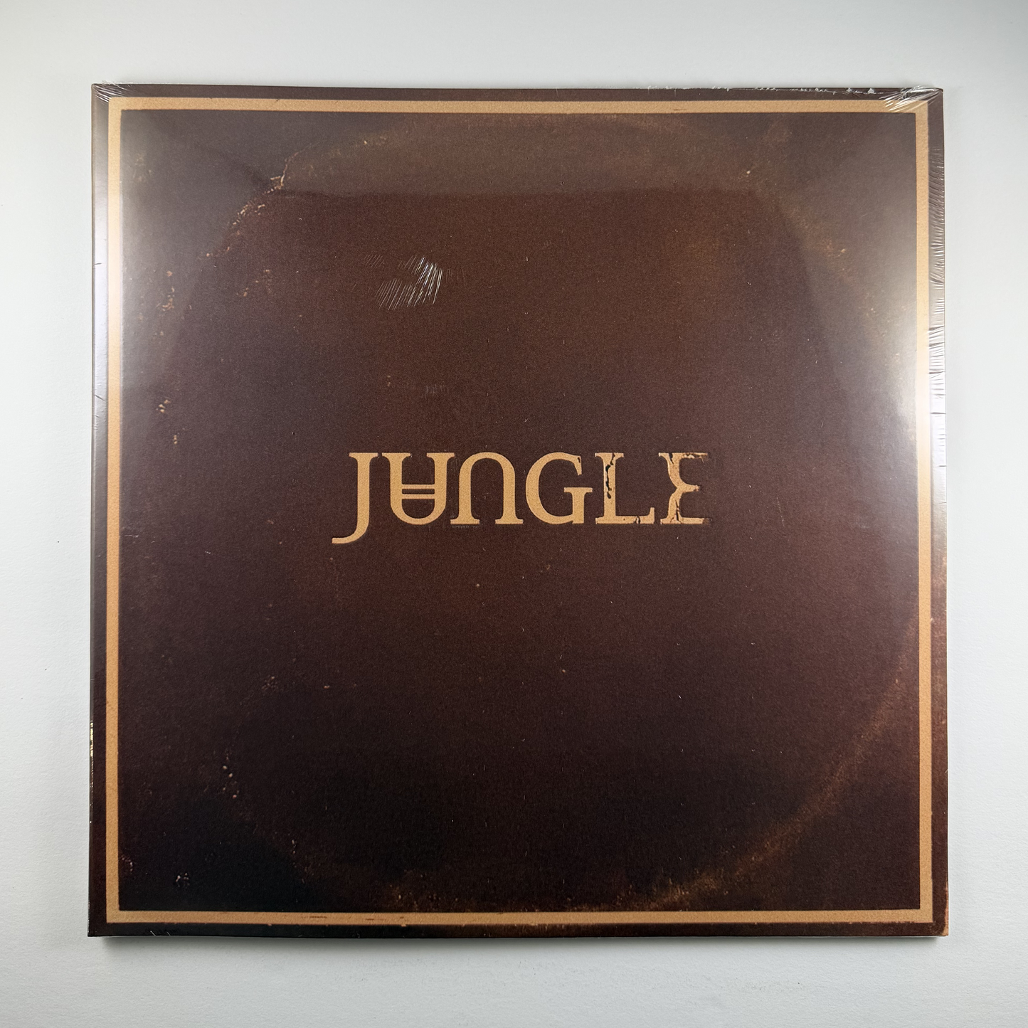 Jungle "Sunshine" [Indie Exclusive] LP