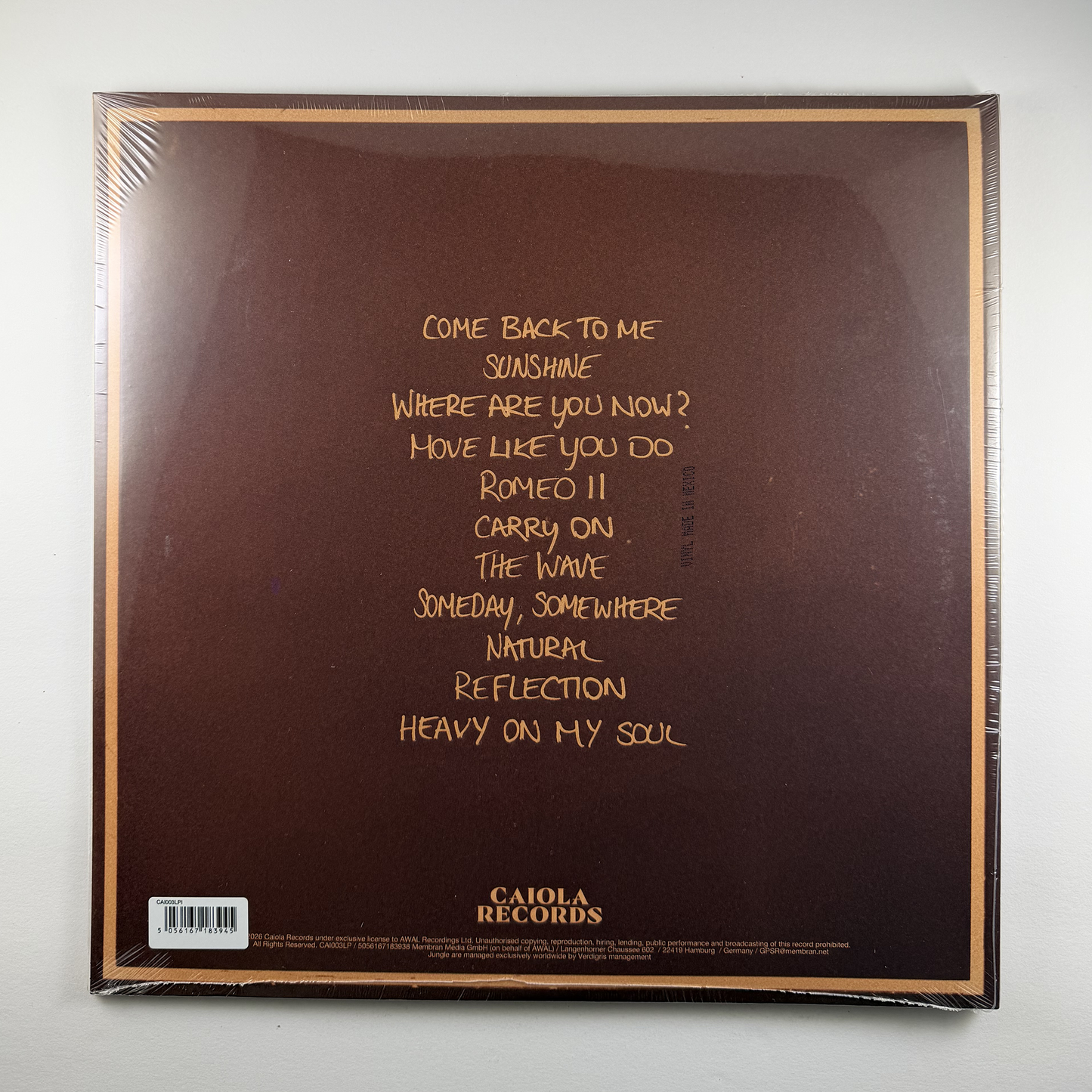 Jungle "Sunshine" [Indie Exclusive] LP