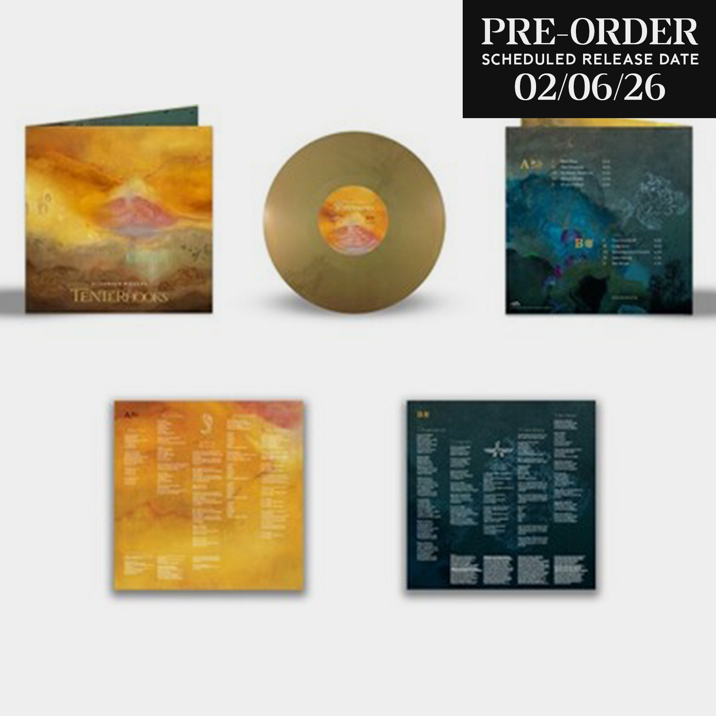 Silversun Pickups "Tenterhooks" [Indie Exclusive] LP